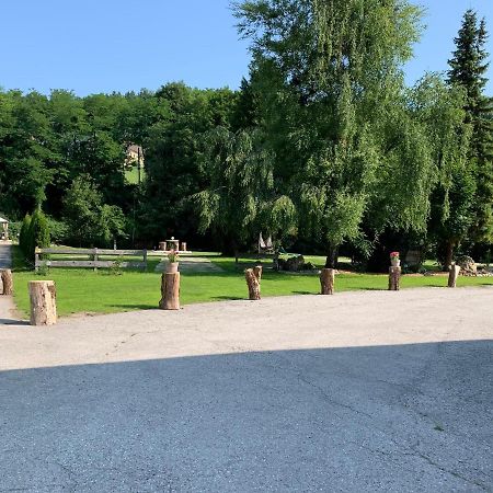 Landgasthof Steinmuehl Hofbauer Fruehstueckspension Und Campingplatz Hotel Waidhofen an der Ybbs Exterior foto